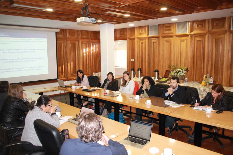 Comité de Internacionalización UFRO comparte miradas con diversos actores universitarios